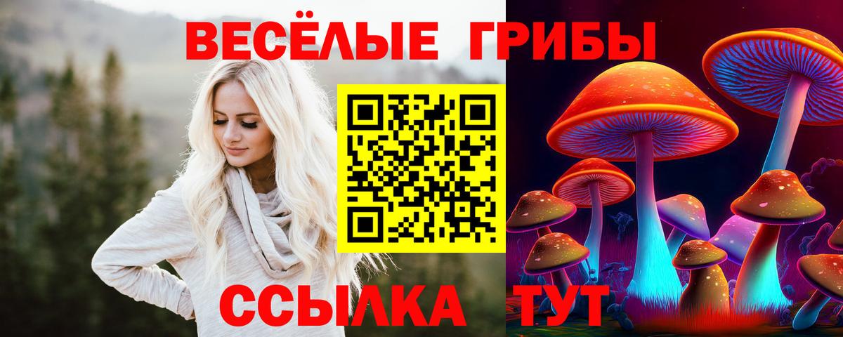 Галлюциногенные грибы мицелий Соликамск